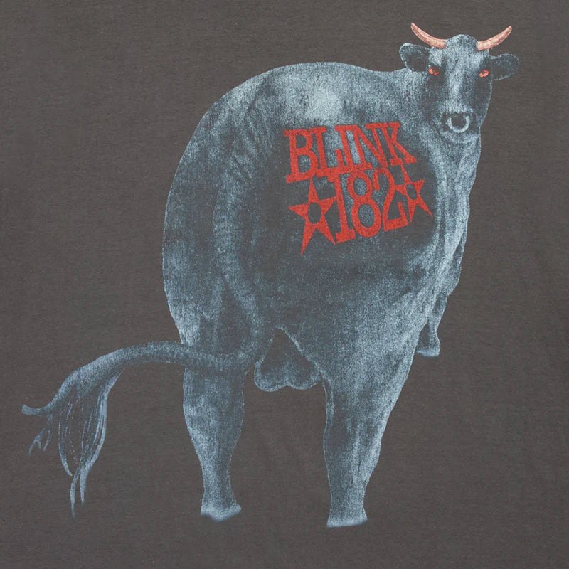 Blink 182 - Dude Ranch T-Shirt